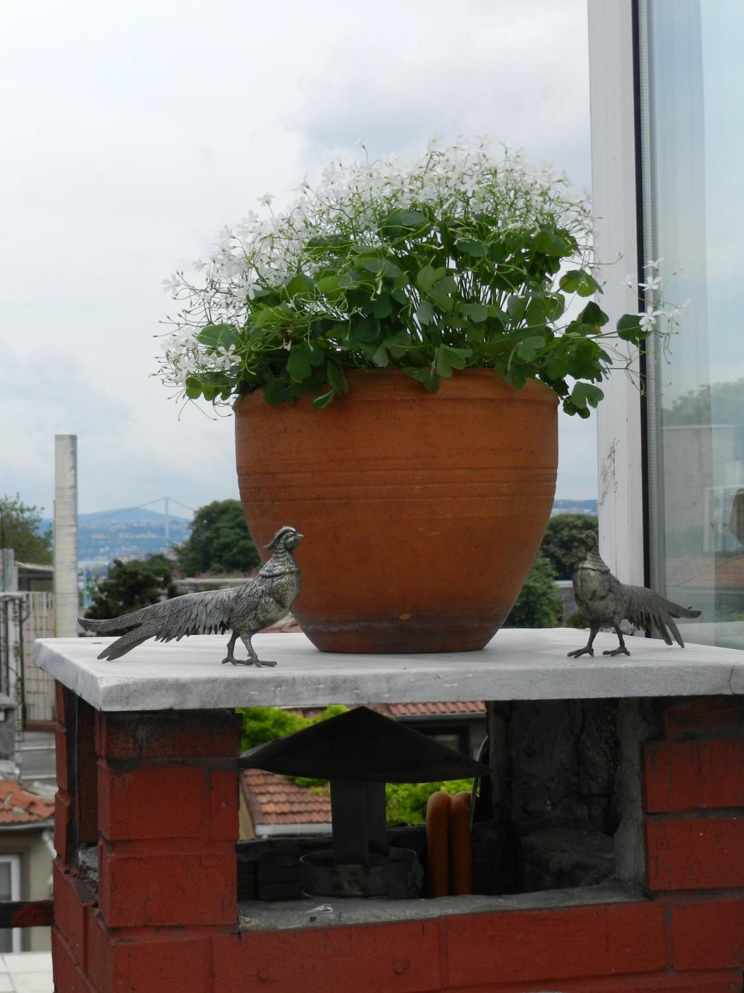 Berk Guest House - Grandma'S House อิสตันบูล ภายนอก รูปภาพ